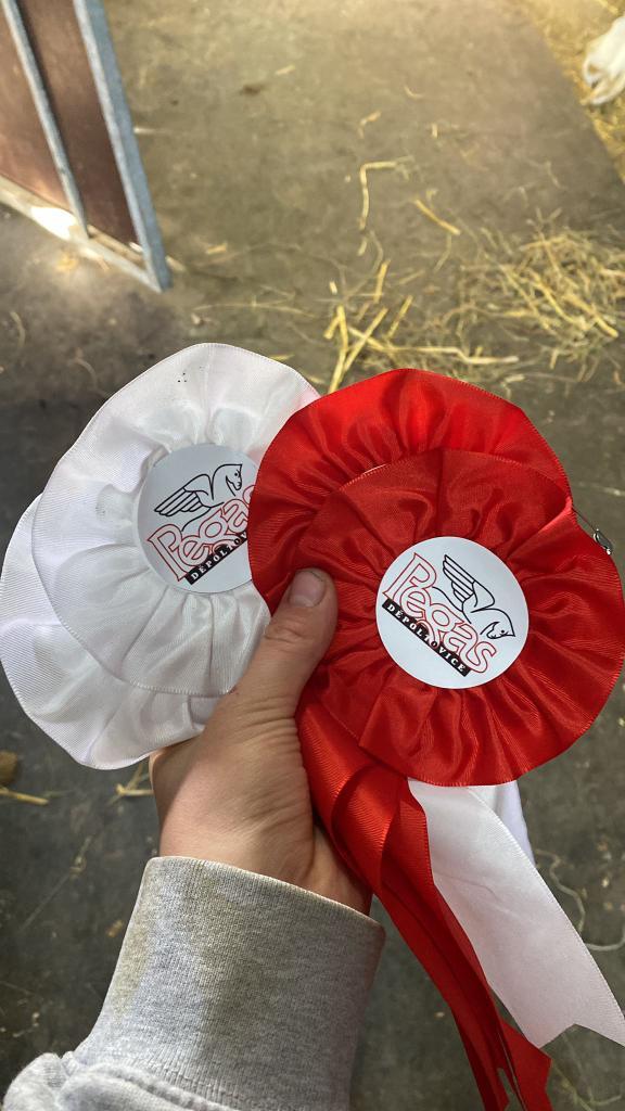 Dekorativní obrázek