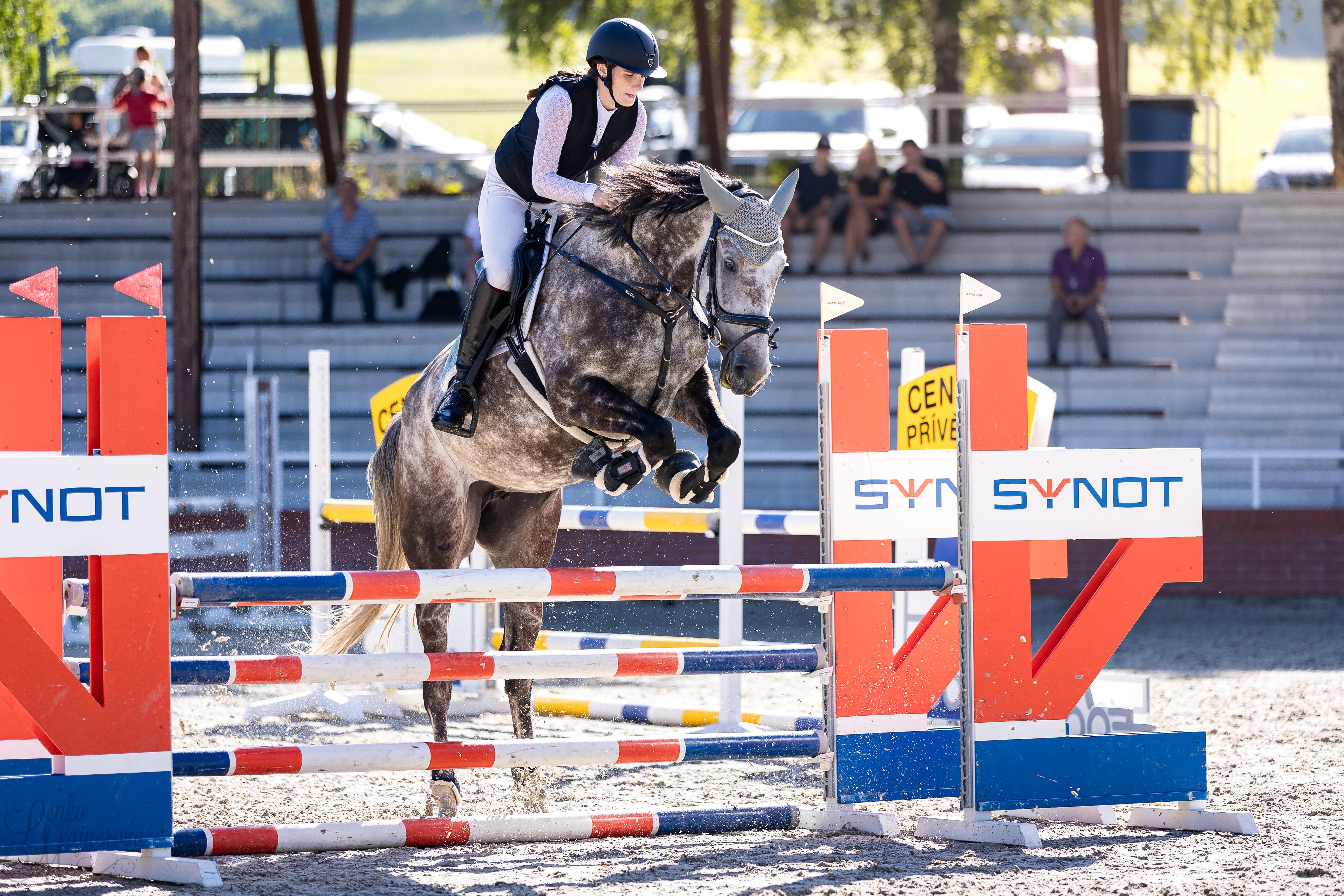 Dekorativní obrázek